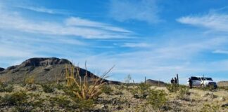 Localizan osamentas durante rastreo en el municipio de Guadalupe