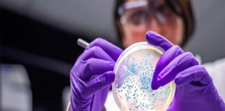 OMS avisa de la creciente resistencia de bacterias infecciosas a fármacos