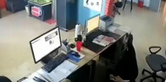 Empleadas “flojeaban” todo el día, jefe instaló cámaras y así las cachó