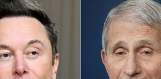 Casa Blanca califica de ‘increíblemente peligroso’ el ataque de Musk a Fauci