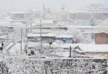 ¿Cómo protegerse ante una tormenta invernal?