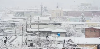 ¿Cómo protegerse ante una tormenta invernal?
