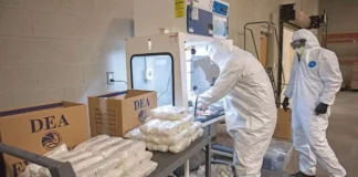 México y EU harán campaña contra fentanilo