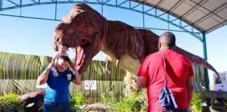 Disfrutan de presencia de dinosaurios y guajolotes