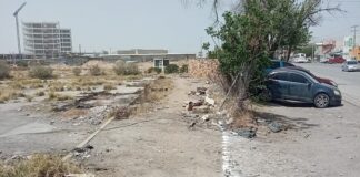 Arranca construcción de Banco del Bienestar en terrenos del ex Hipódromo