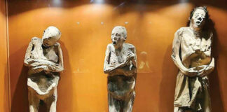 ‘Momias no son objetos de disneyficación’: titular del INAH