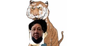 DESENTUERTOS: JÁUREGUI APUESTA Y GANA CON LA RIFA DEL TIGRE