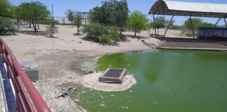 Suman esfuerzos para rehabilitar el lago artificial del Parque Oriente Jesús “Chuy” Mota