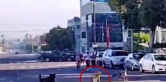 VIDEO: Boicotean al ‘Chicles’ en plena carrera; iba de líder en la competencia