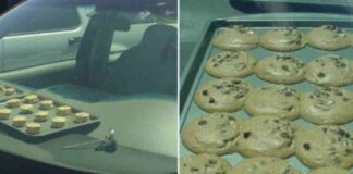 Galletas se hornean en auto por calor extremo