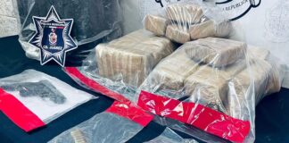 Sujeto es arrestado en poder de 20 paquetes con marihuana y dos armas de fuego