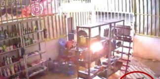 Vídeo: Perrita evita tragedia por incendio en Chiapas