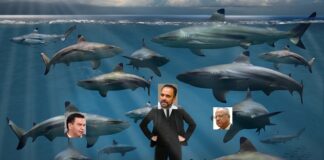 DESENTUERTOS: LOERA VE TIBURONES EN EL HORIZONTE