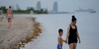 ¿Un mar caliente? Ola de calor en Florida eleva temperaturas del agua hasta los 38°C