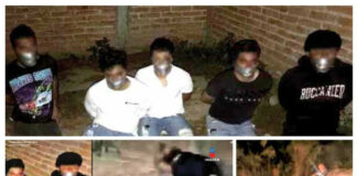 Hallan restos en Jalisco; circula VIDEO: Joven habría sido obligado a matar a sus amigos