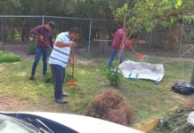 Con trabajo comunitario, terapia psicológica y otras medidas, canaliza Justicia Cívica a 88 ciudadanos