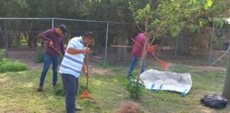 Con trabajo comunitario, terapia psicológica y otras medidas, canaliza Justicia Cívica a 88 ciudadanos