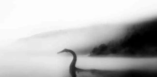 Arranca cacería del Monstruo del Lago Ness en Escocia