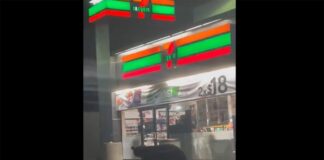 Vídeo: Enorme oso llega hasta una tienda 7-Eleven