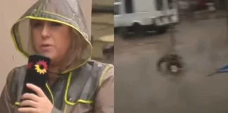 Video: Reportera desaparece EN VIVO mientras cubría inundaciones