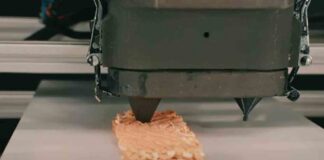 Logran imprimir un trozo de salmón en 3D y es comestible