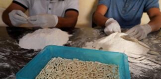 EU sanciona a nueve integrantes del Cártel de Sinaloa por tráfico de fentanilo