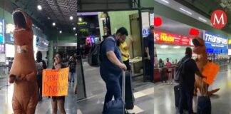 Con disfraz de dinosaurio recibe a su papá en central de autobuses en Tampico