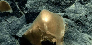 Misterioso ‘huevo de oro’ hallado en el fondo del mar de Alaska desconcierta a los científicos