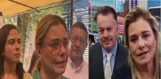 DESENTUERTOS: UNOS COMO ABEJAS Y OTROS COMO MOSCAS