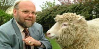 Murió Ian Wilmut, ‘padre’ de la oveja ‘Dolly’, a los 79 años
