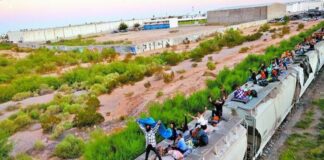 Nueva oleada de migrantes colapsa ruta del tren a EU