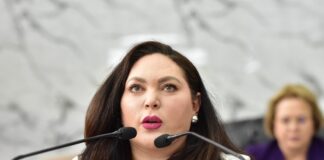 Presenta diputada Zapata iniciativa para garantizar reparación del daño por feminicidios