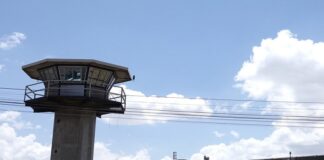 Dan seis años de cárcel a conductora que borracha mató a niña de 7 años