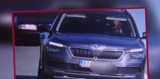 Perrito ‘conduce’ coche e iba a exceso de velocidad en Eslovaquía
