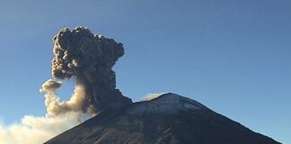 Popocatépetl registra más de 100 exhalaciones y una hora de tremor