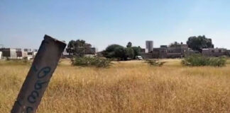 Hallan los cadáveres de tres personas bajo un árbol en Guanajuato