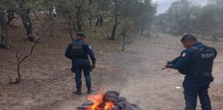 Destruyen campamento del crimen organizado en Carichí