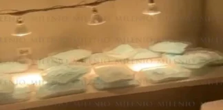 Descubren laboratorio de secado para fabricar pastillas de fentanilo en Tijuana