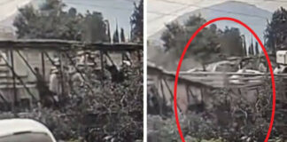 Vídeo: Momento exacto en que puente peatonal se desploma en Edomex