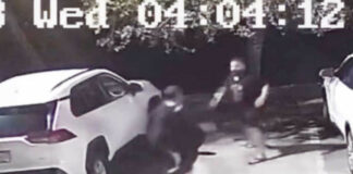 Vídeo: Expeleador de MMA somete a ratero con esta llave