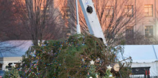 Vídeo: ‘Aironazo’ derriba el árbol de Navidad de la Casa Blanca