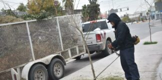 Continúa Dirección de Parques y Jardines con mantenimiento del Parque Borunda