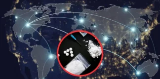 Cárteles mexicanos operan en 4 continentes