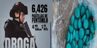 Aseguró SSPM más de seis mil pastillas de fentanilo durante octubre