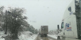 Se registran heladas en sierras de Chihuahua, Coahuila, Durango, Sonora y Zacatecas