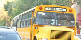 Estas noticias fueron verídicas pese a que pudieron parecer de película