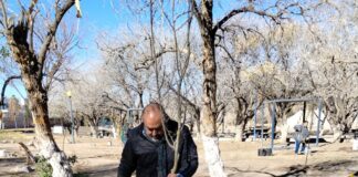 Participa Dirección de Ecología en reforestación del Parque Central