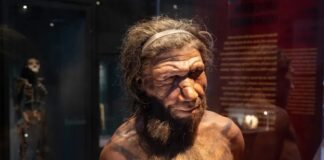 La resurrección ya no es tan irreal; esto están haciendo los científicos