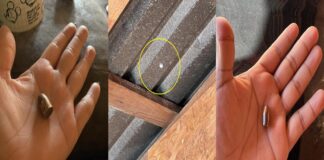 Reportan juarenses caída de balas perdidas que pudieron haberlos matado