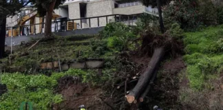 Vídeo: Estado de emergencia en California tras corte de energía por tormenta